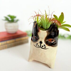 Ceramic Boston Terrier/Frenchie Pottery Planter Pot